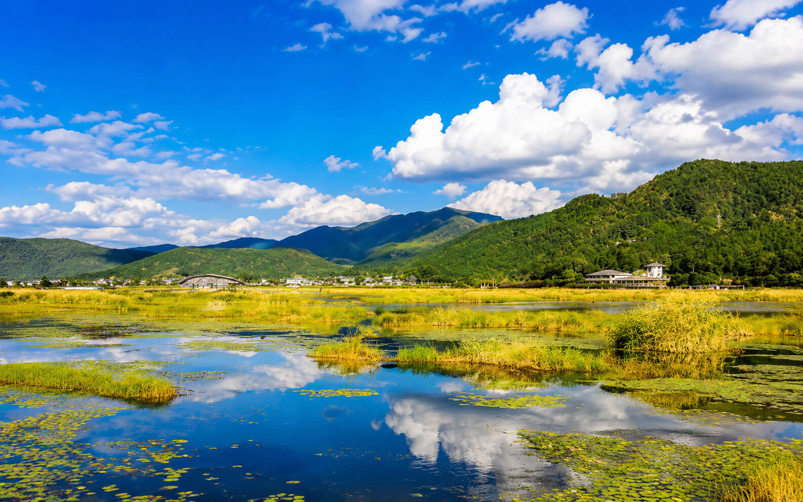北海濕地