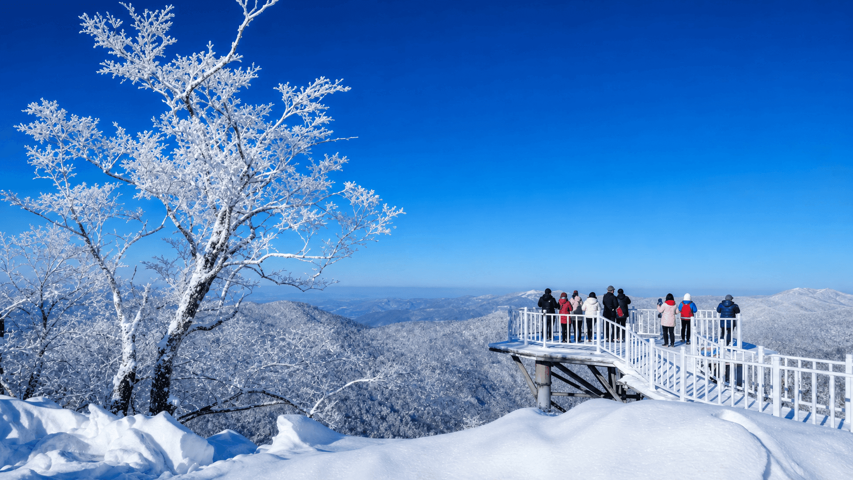 二浪河雪村冰雪畫廊